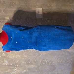 Danier Blue Suede Dress with Stud Accents